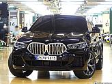BMW X6 xDrive 30d M 스포츠