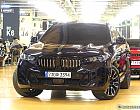 BMW X6 xDrive 40i M 스포츠