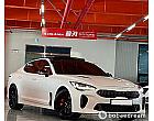 기아 스팅어 마이스터 3.3 터보 AWD GT 아크로 에디션