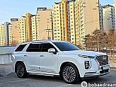 현대 팰리세이드 3.8 가솔린 4WD VIP