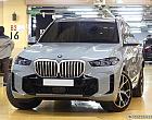 BMW X5 xDrive 30d M 스포츠