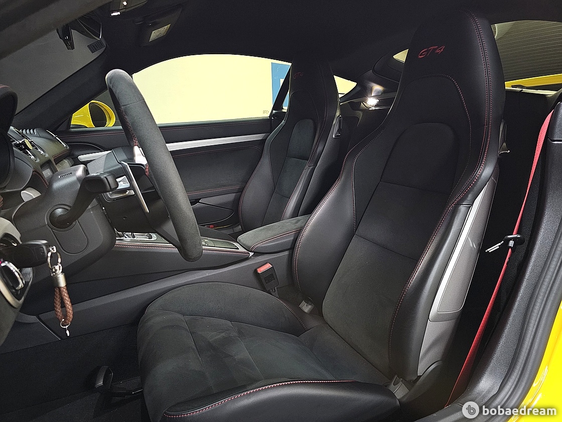 Porsche Cayman 4.0 GT4 9