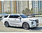 현대 팰리세이드 3.8 가솔린 4WD VIP