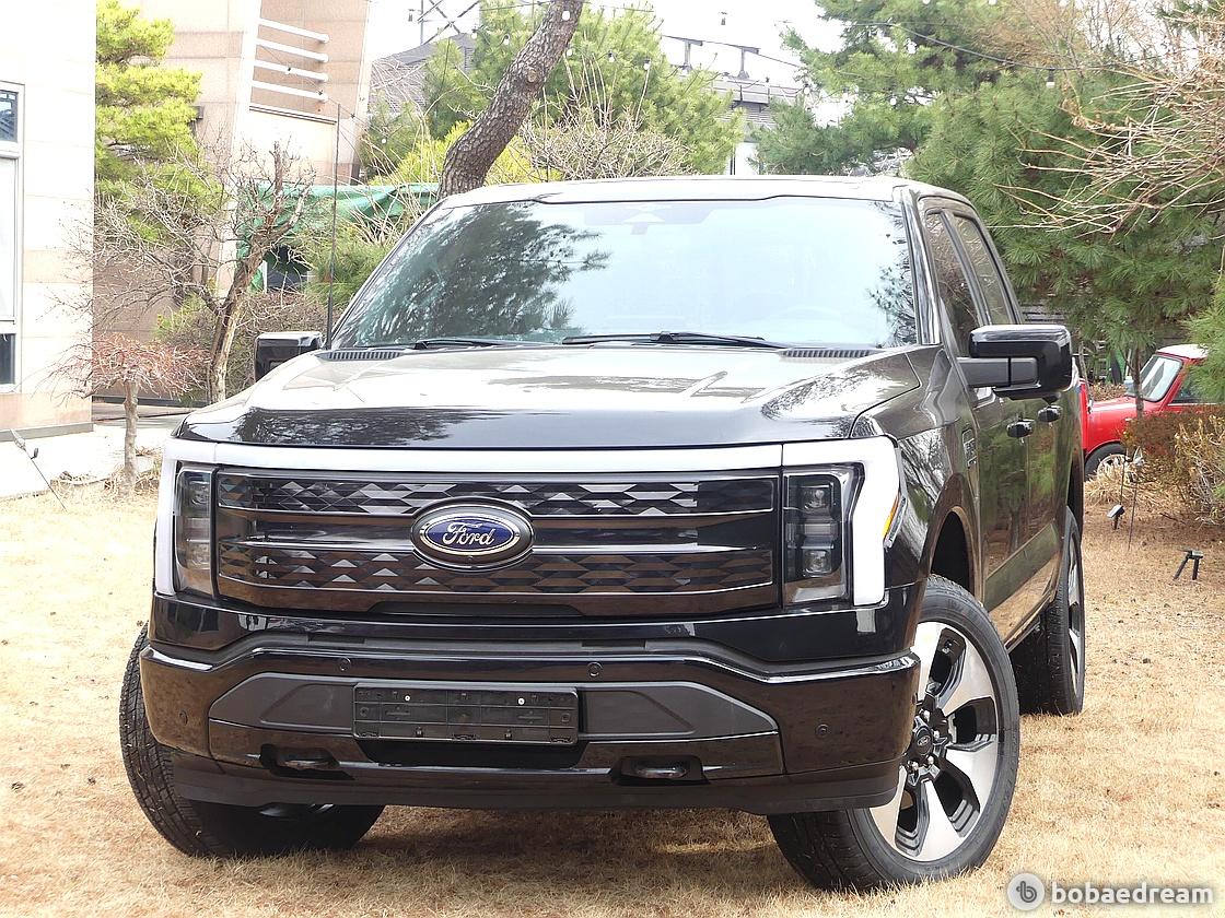 Ford F-150 Lighting Platinum