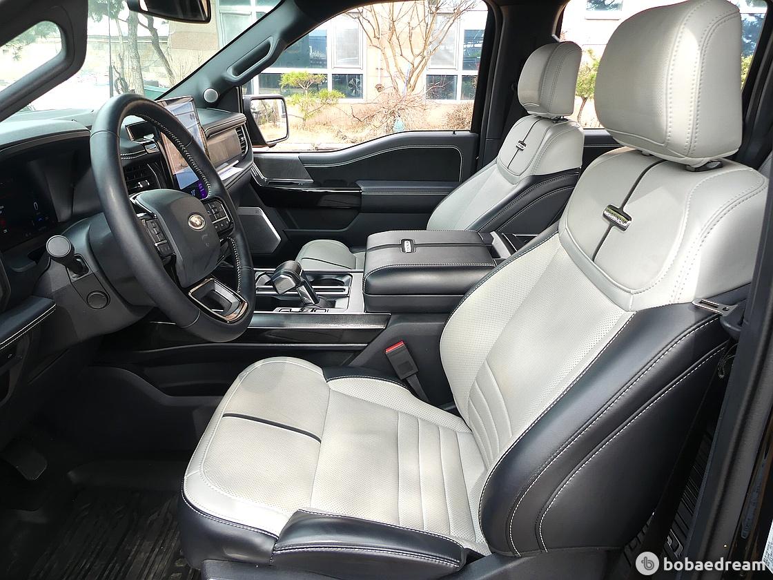 Ford F-150 Lighting Platinum 9