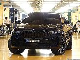BMW X6 xDrive 30d M 스포츠